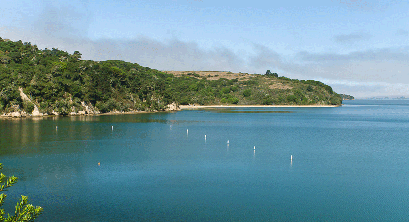 Tomales Bay Guided Boat Tour